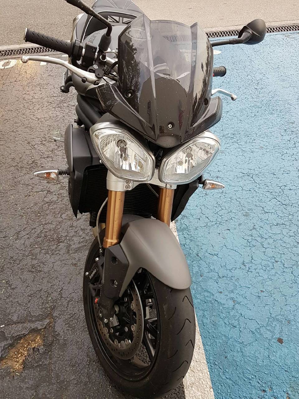 Photo TRIUMPH SPEED TRIPLE