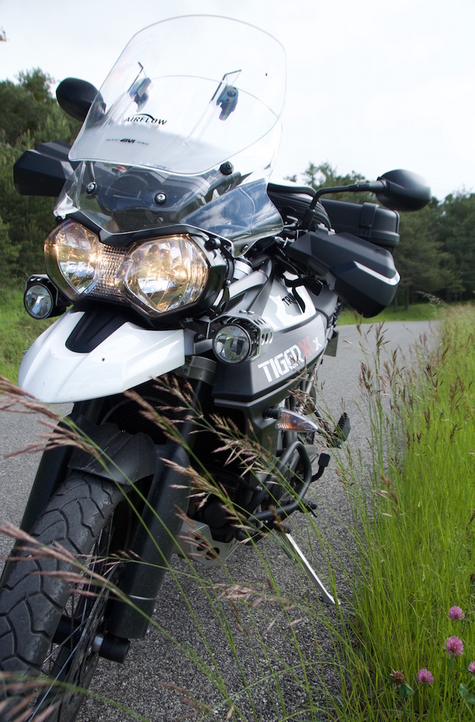 Photo TRIUMPH TIGER 800