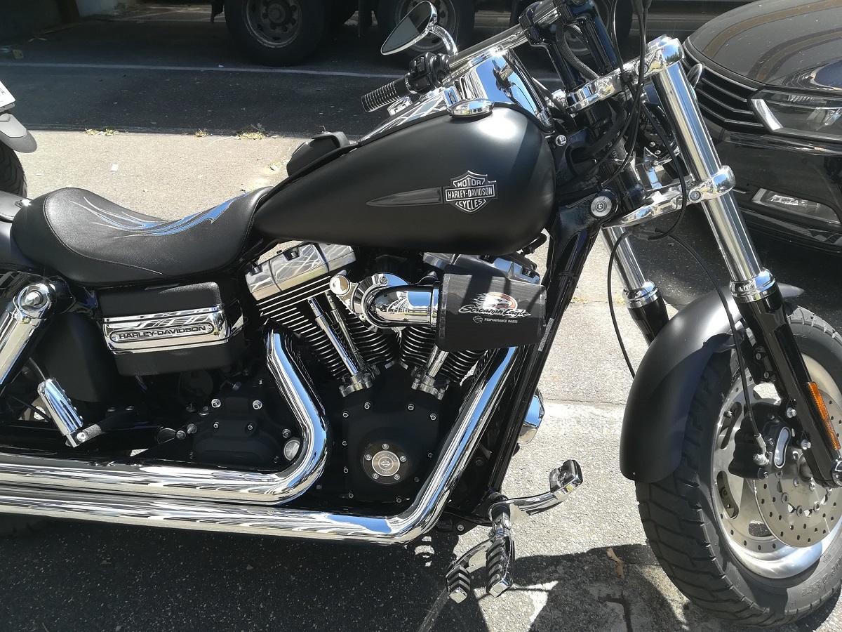 Photo HARLEY DAVIDSON FAT