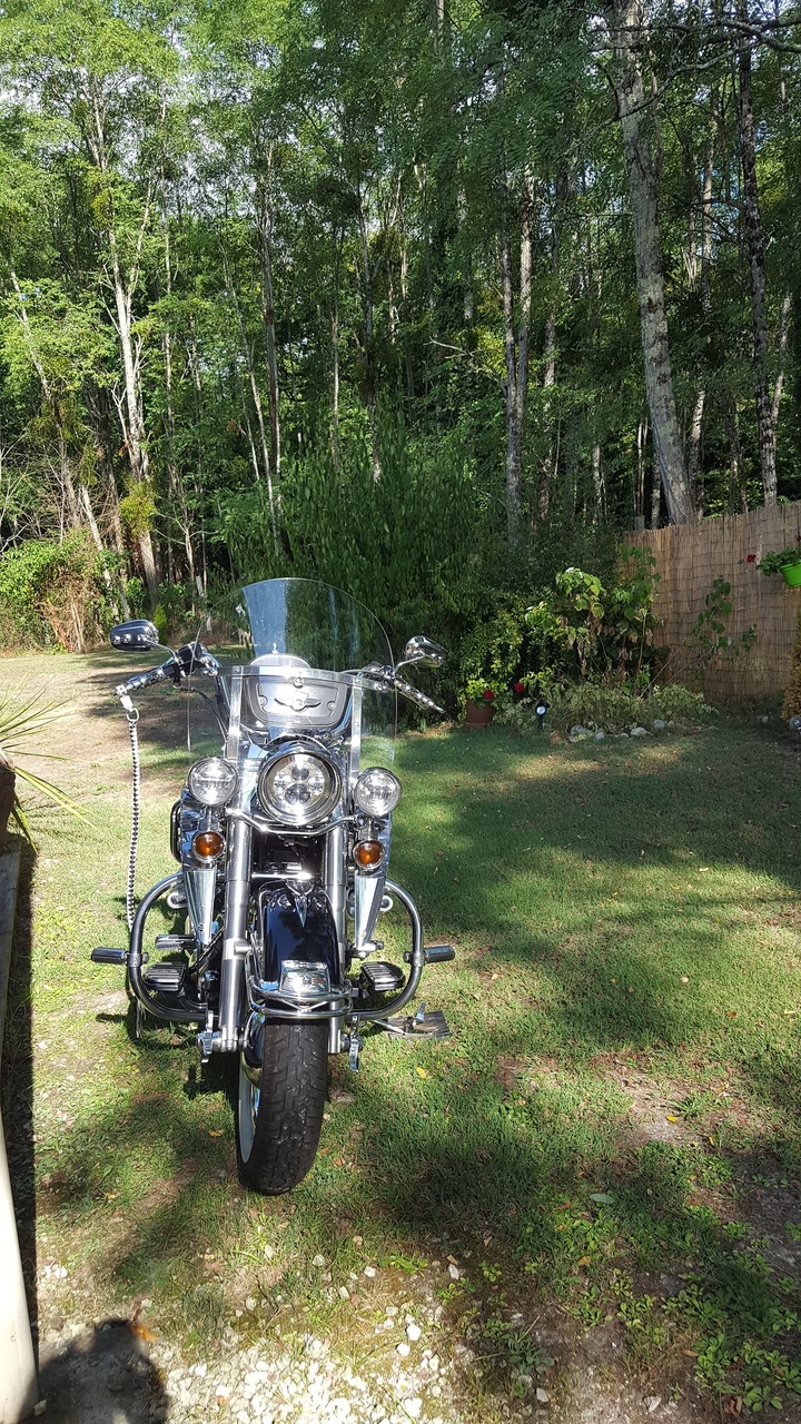 Photo HARLEY DAVIDSON