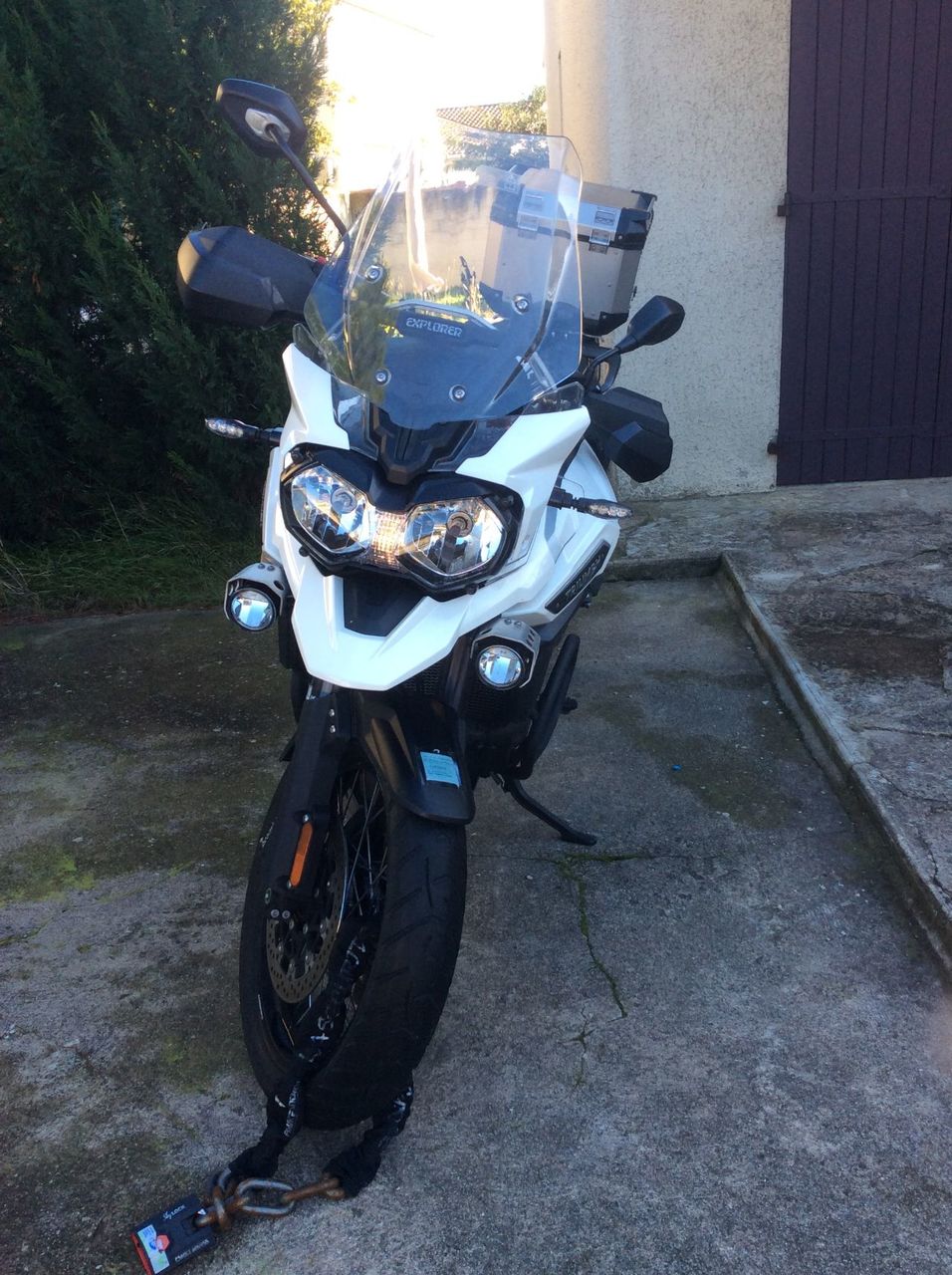 Photo TRIUMPH TIGER EXPLORER