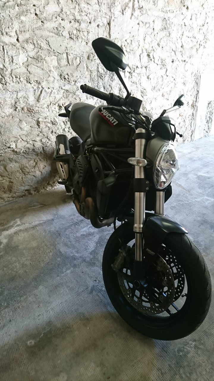 Photo DUCATI MONSTER 821