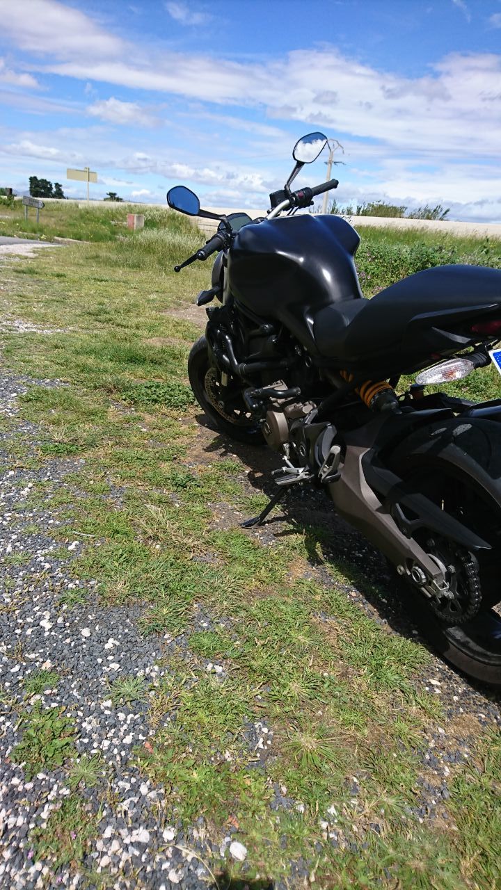 Photo DUCATI MONSTER 821