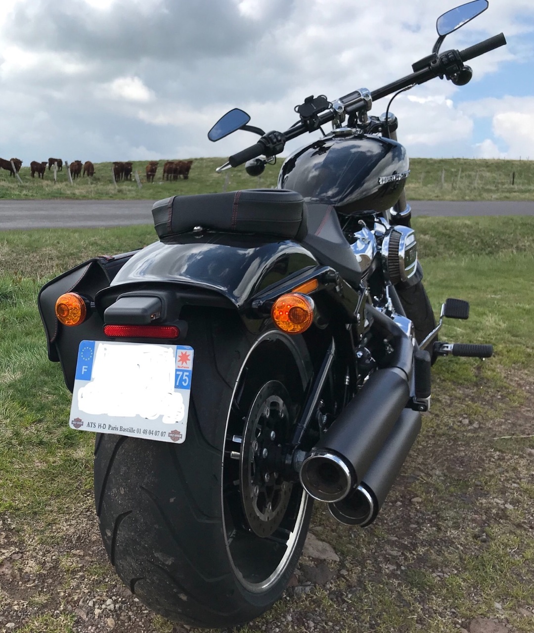 Photo HARLEY DAVIDSON FXBRS