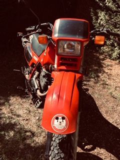 Photo HONDA XL 600 R