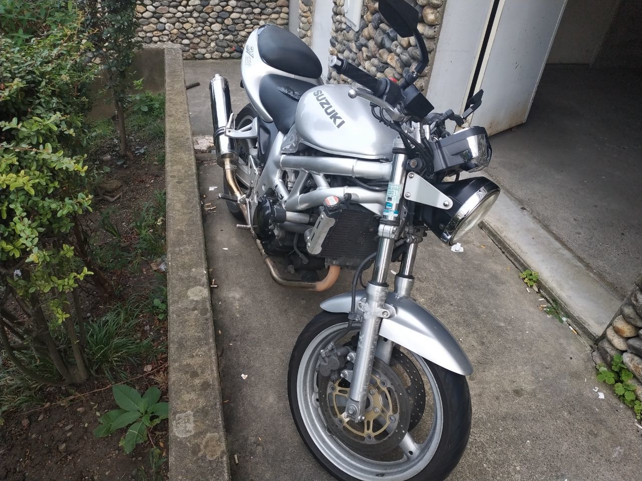 Photo SUZUKI SV 650
