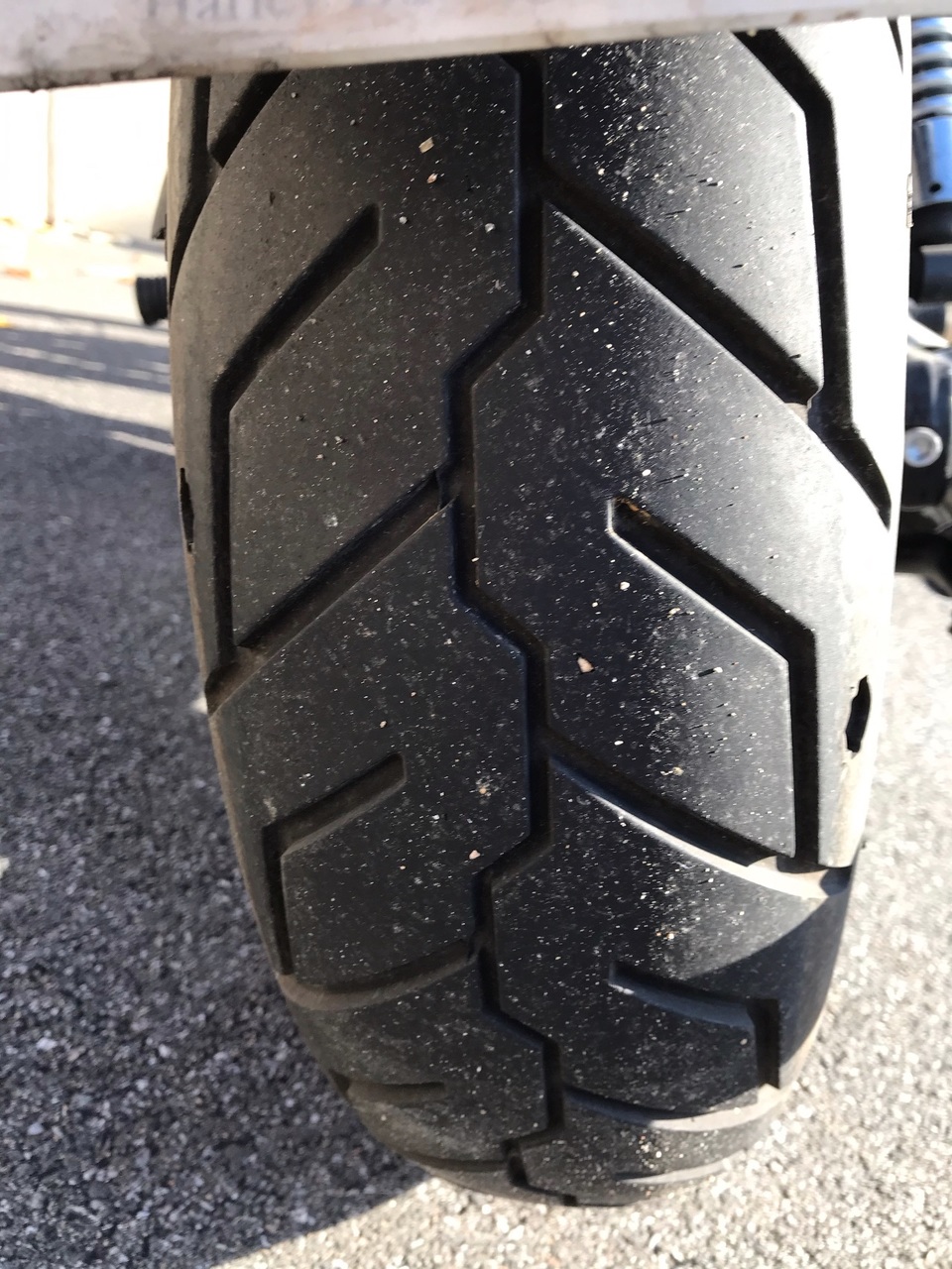 Photo HARLEY DAVIDSON FXD