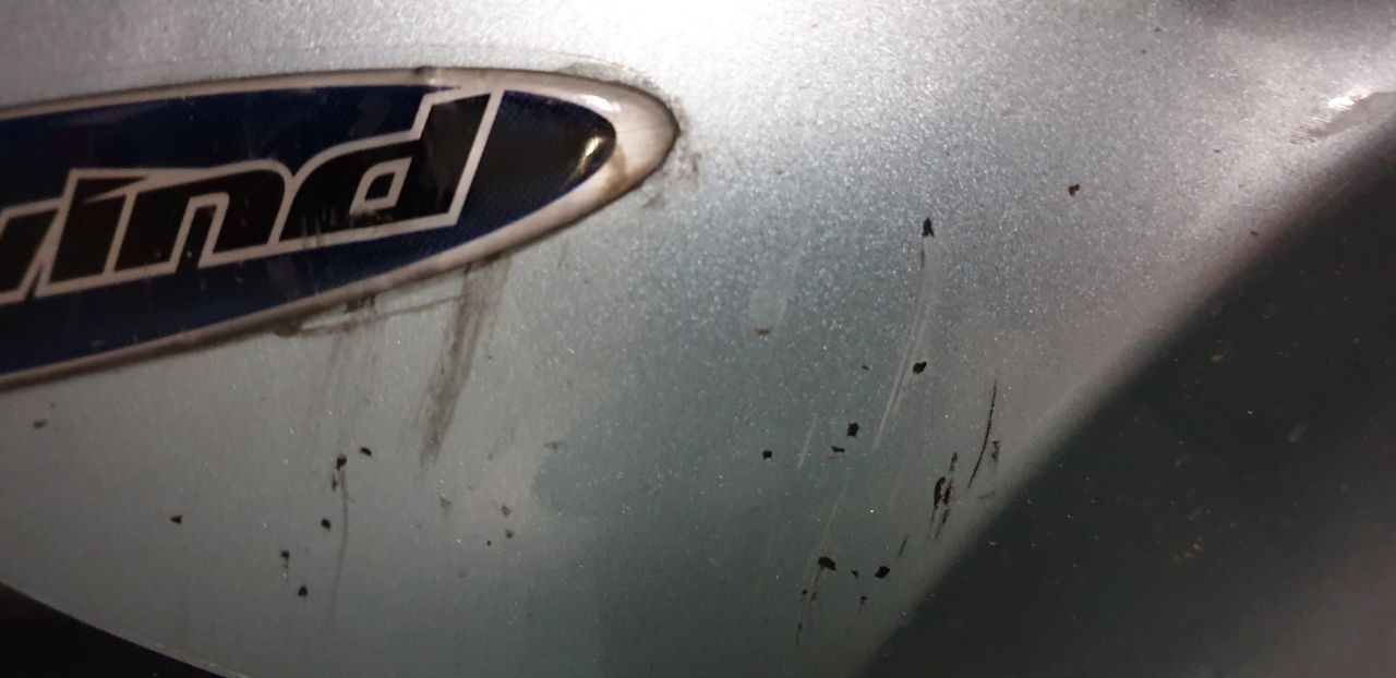 Photo SUZUKI XF 650 FREEWIND