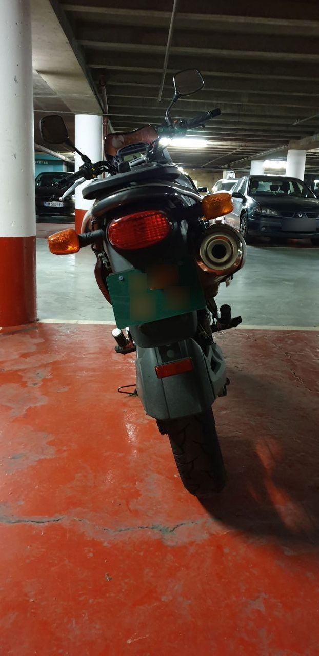 Photo SUZUKI XF 650 FREEWIND