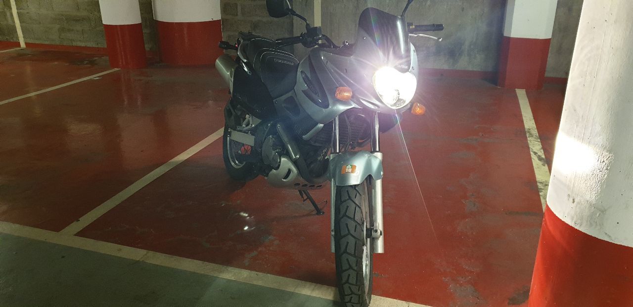 Photo SUZUKI XF 650 FREEWIND