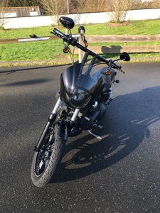 HARLEY DAVIDSON STREET BOB