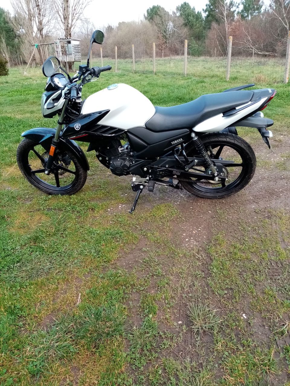 Photo YAMAHA YS 125