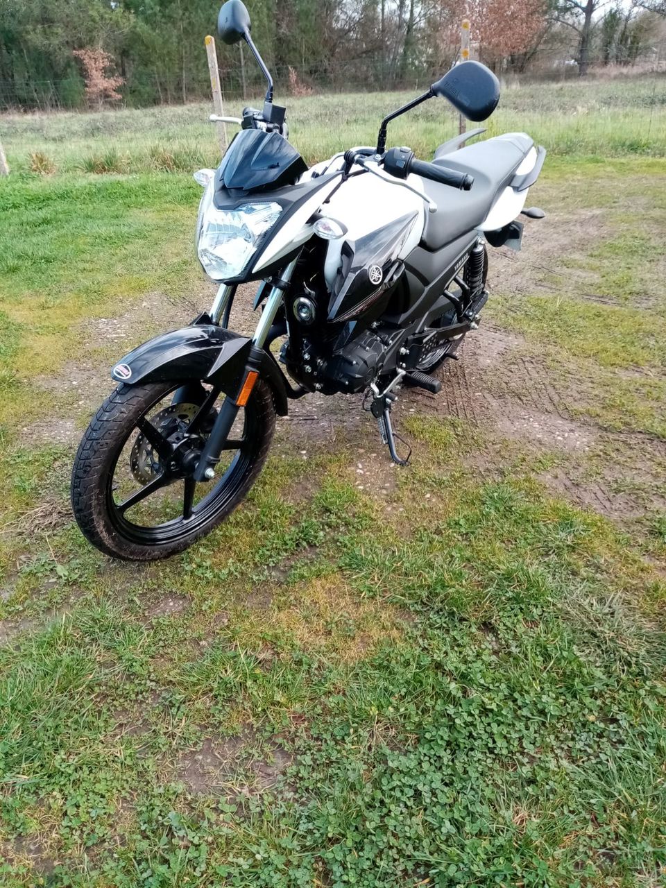 Photo YAMAHA YS 125