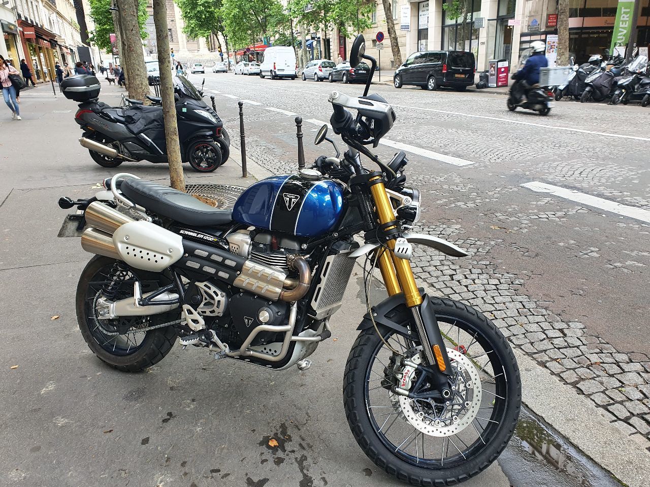 Photo TRIUMPH SCRAMBLER 1200