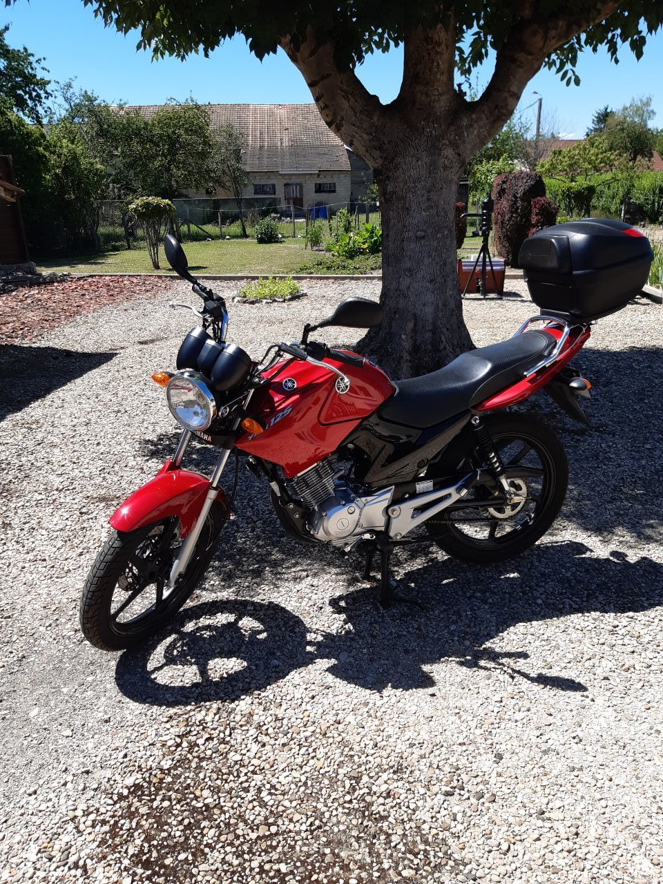 Photo YAMAHA YBR 125