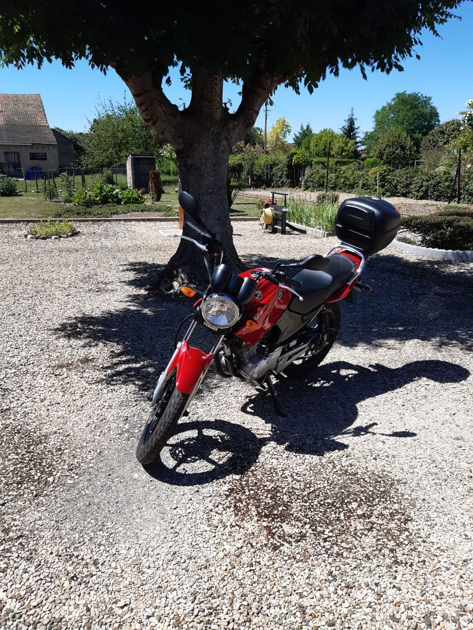 Photo YAMAHA YBR 125