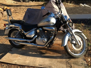SUZUKI INTRUDER
