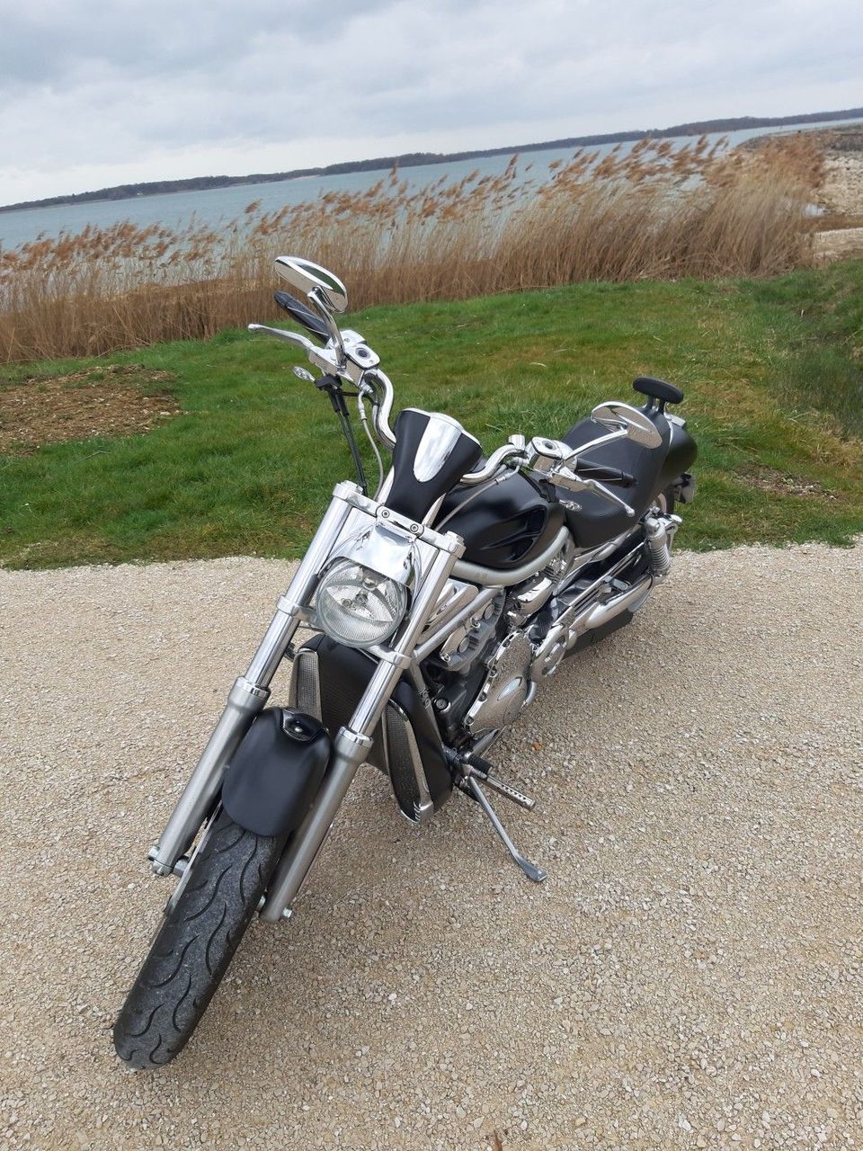 Photo HARLEY DAVIDSON V ROD