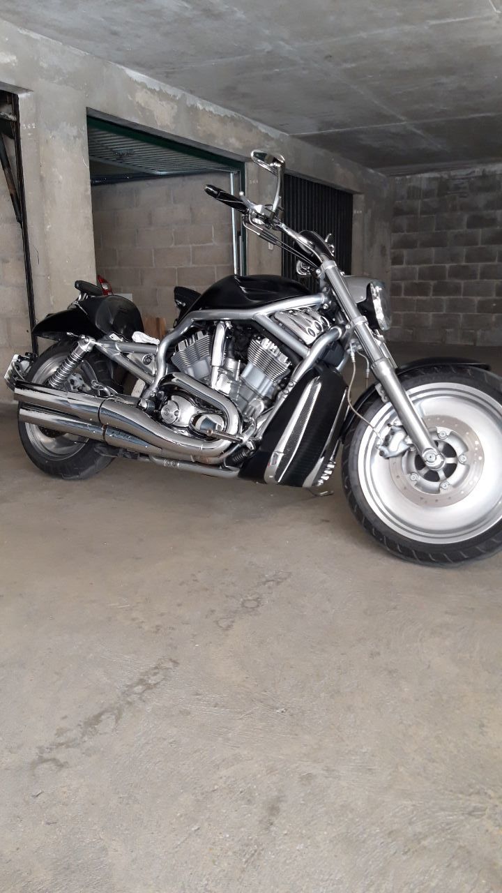 Photo HARLEY DAVIDSON V ROD