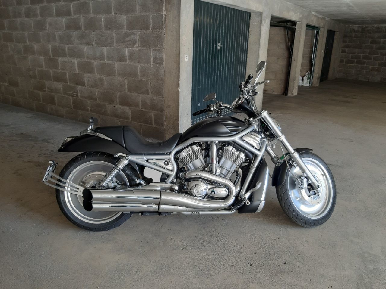 Photo HARLEY DAVIDSON V ROD