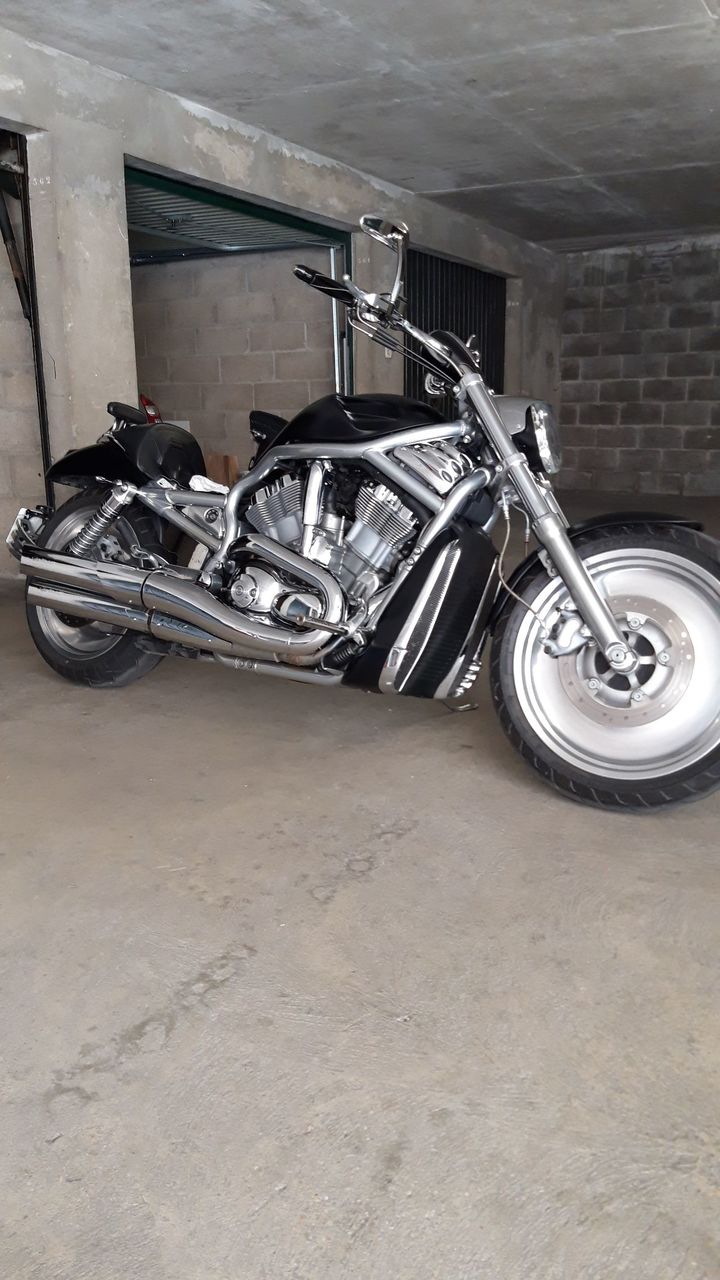 Photo HARLEY DAVIDSON V ROD