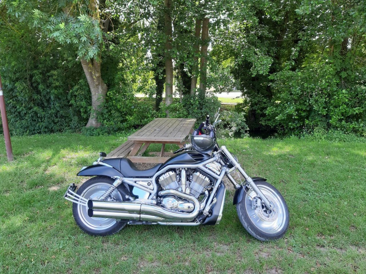 Photo HARLEY DAVIDSON V ROD