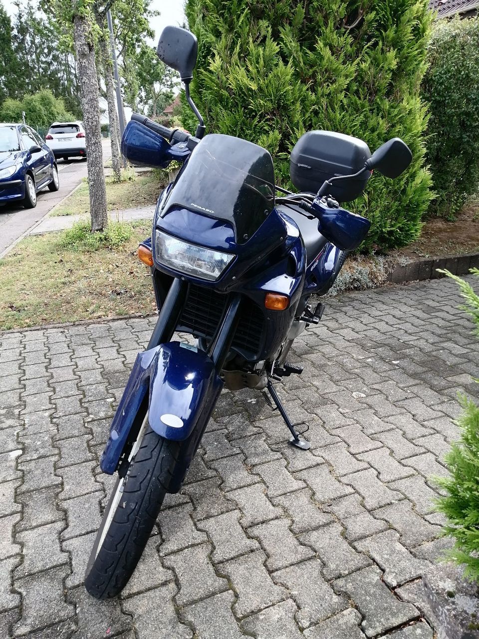 Photo APRILIA PEGASO 650