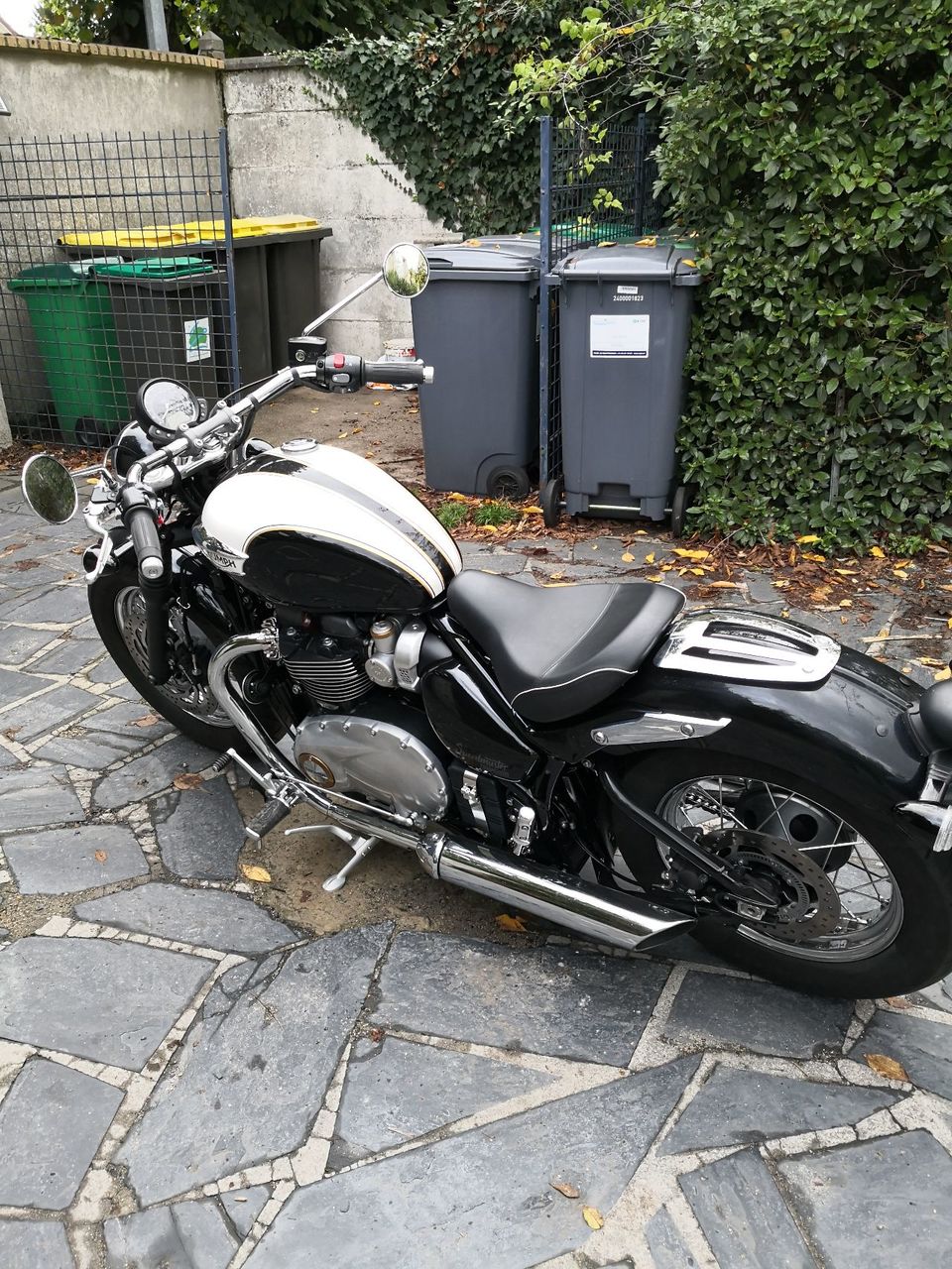 Photo TRIUMPH BONNEVILLE