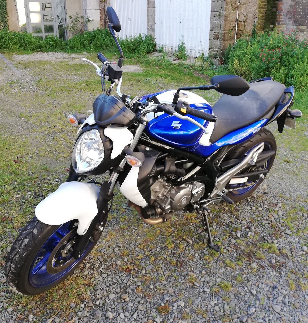 Photo SUZUKI SFV 650 UA