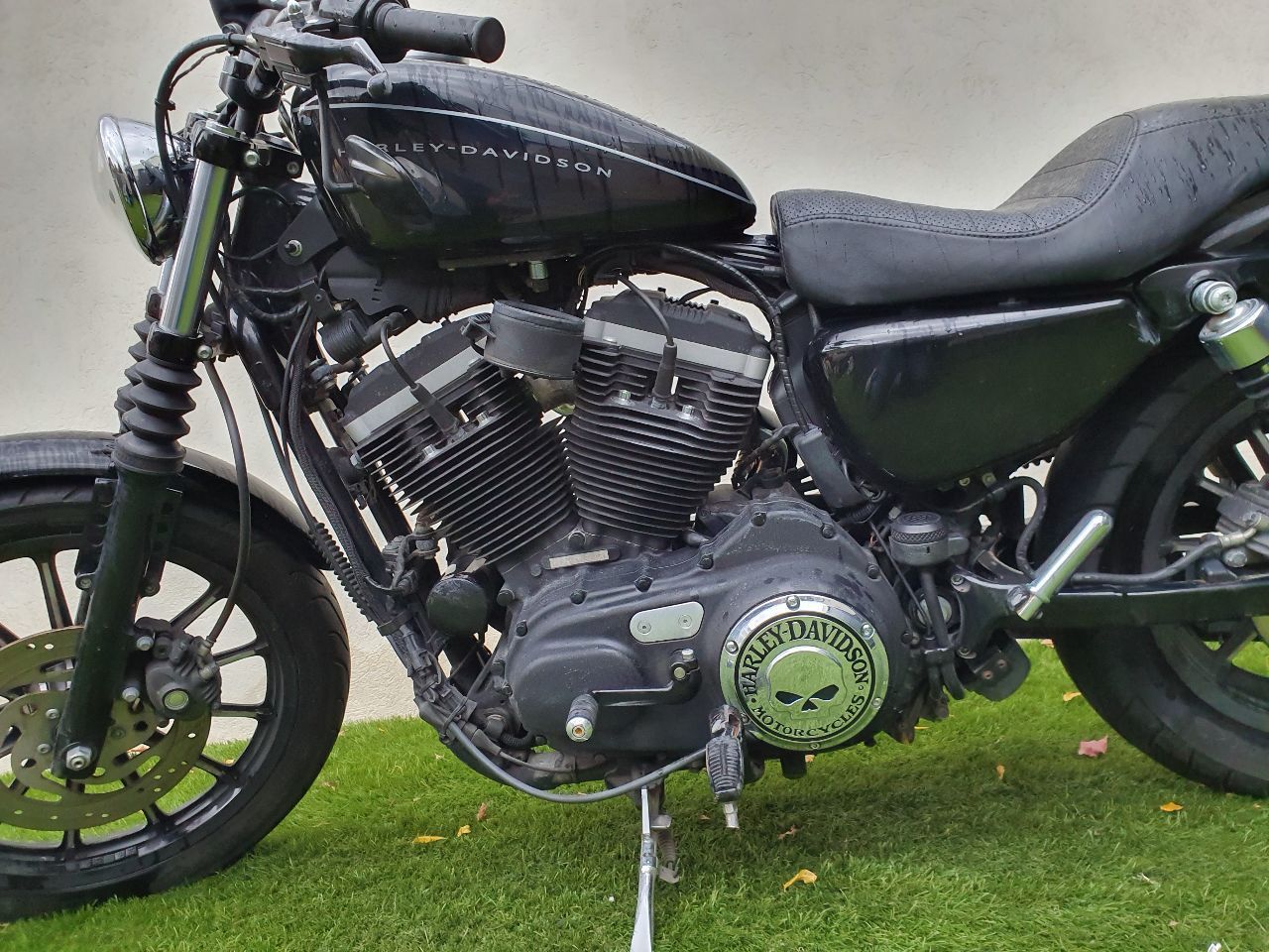 Photo HARLEY DAVIDSON 883