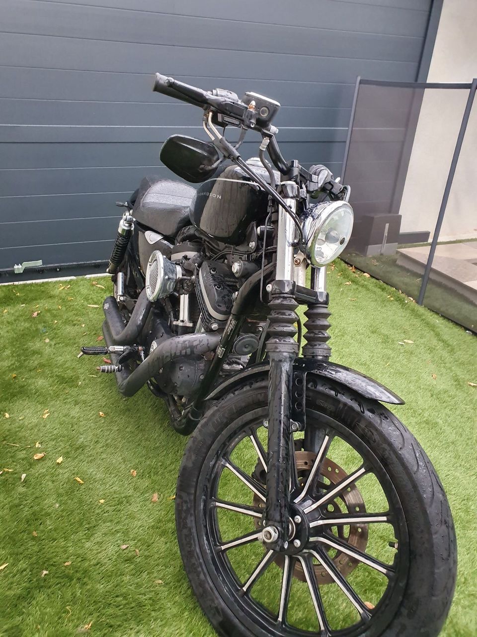 Photo HARLEY DAVIDSON 883