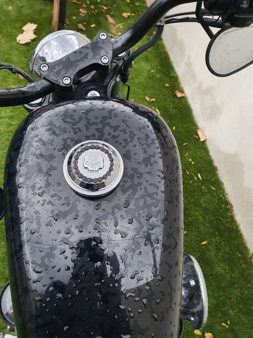 Photo HARLEY DAVIDSON 883