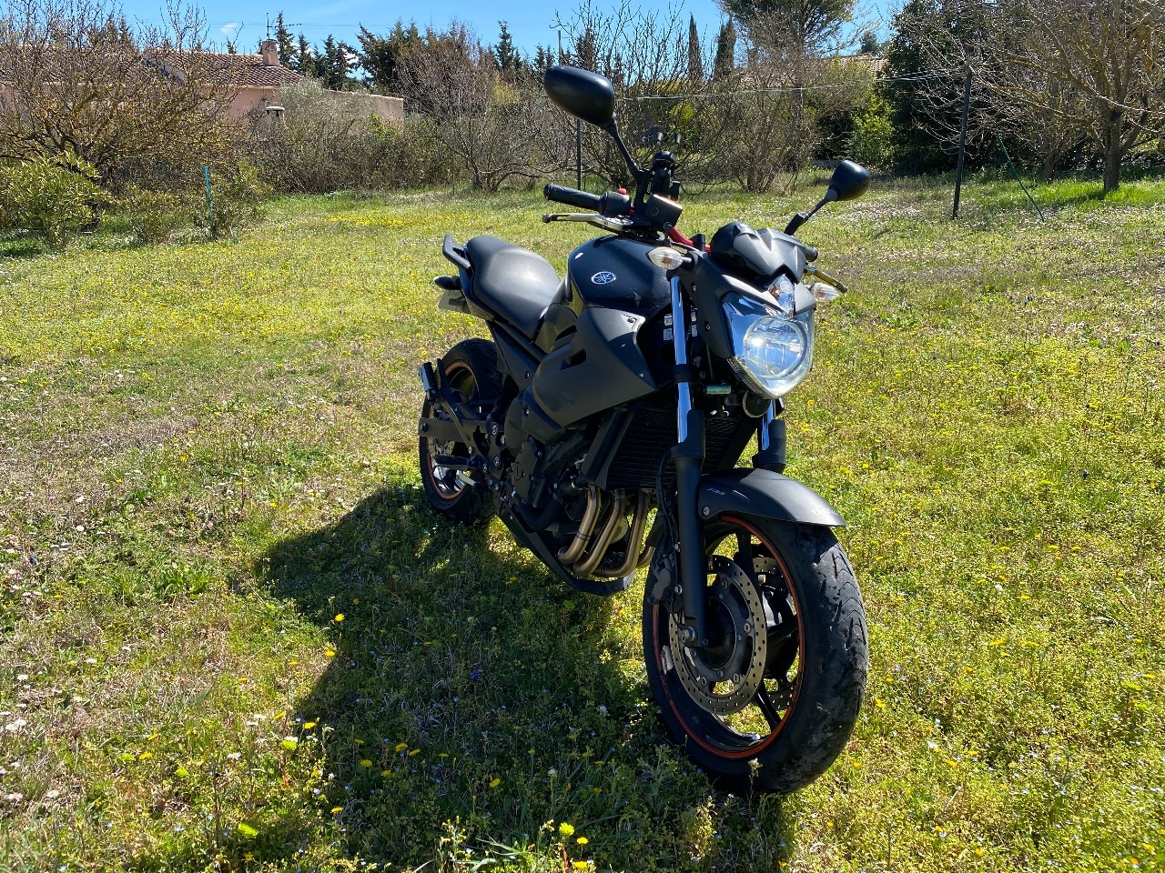 Photo YAMAHA XJ6