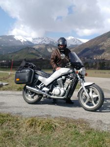 SUZUKI VX 800