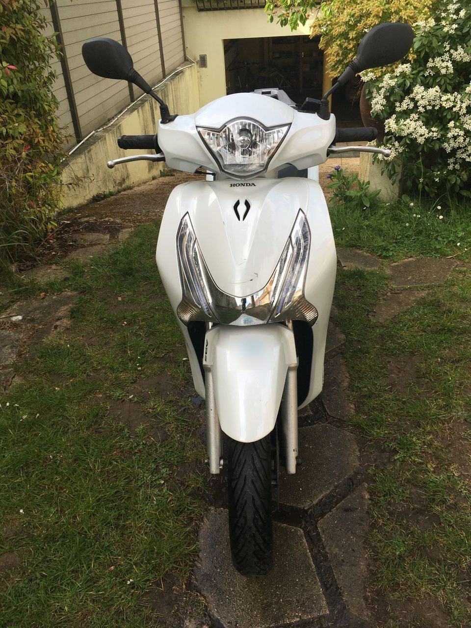 Photo HONDA SH 125 AD