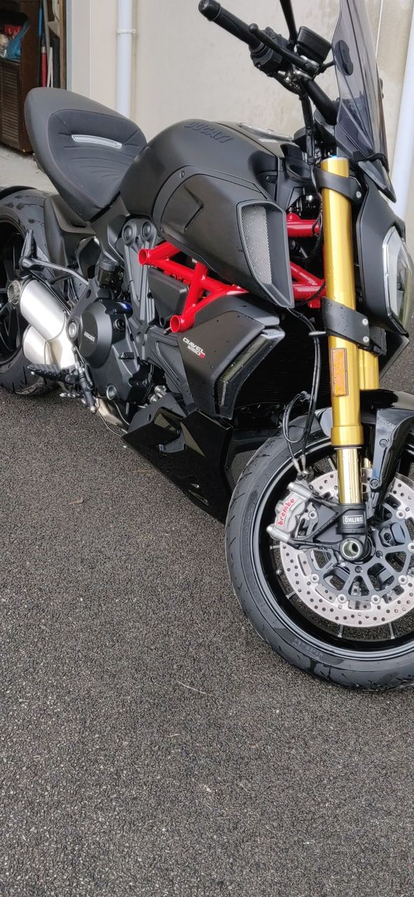 Photo DUCATI DIAVEL 1260