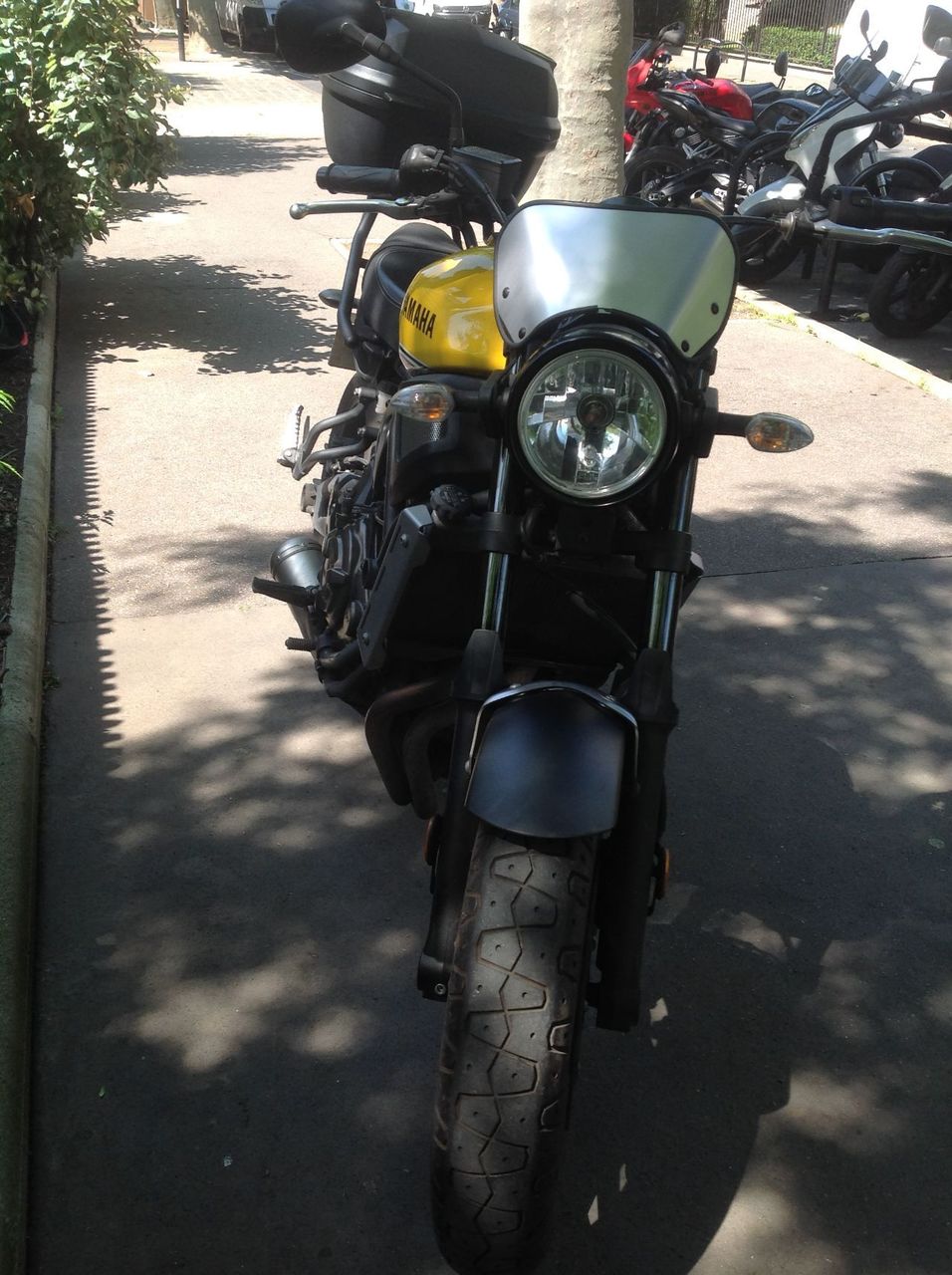 Photo YAMAHA XSR 700