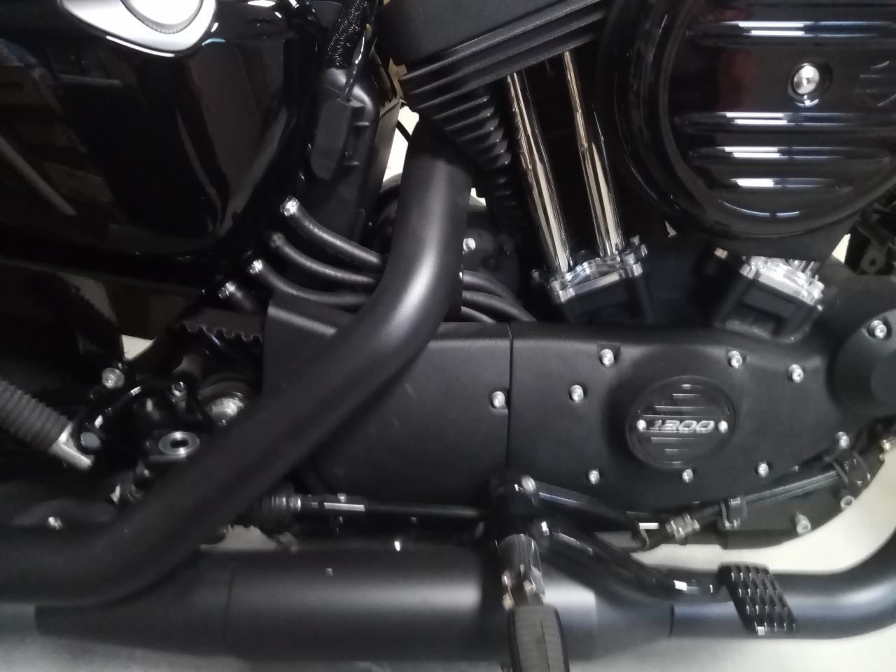 Photo HARLEY DAVIDSON XL NS