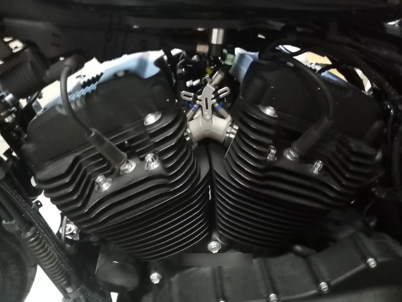 Photo HARLEY DAVIDSON XL NS