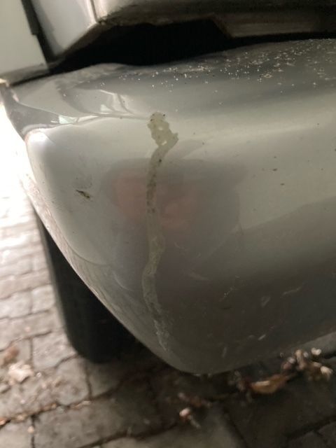 Photo MERCEDES G 350 GTD