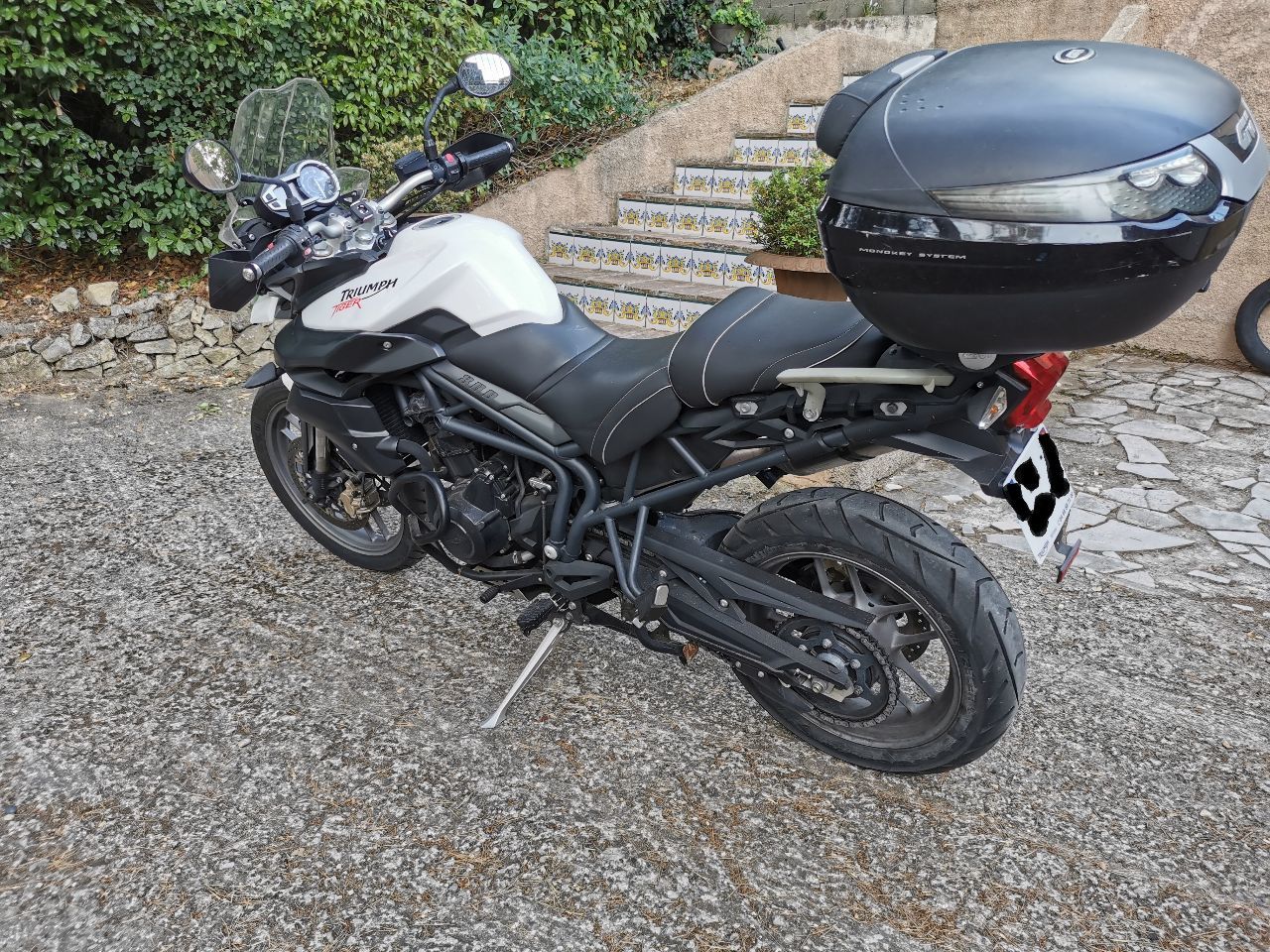 Photo TRIUMPH TIGER
