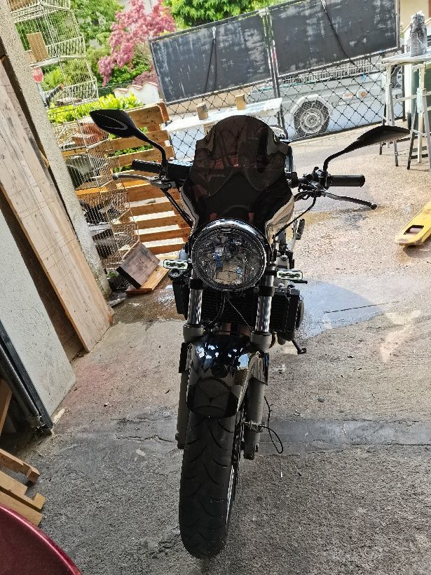 Photo HONDA CB 600 F HORNET