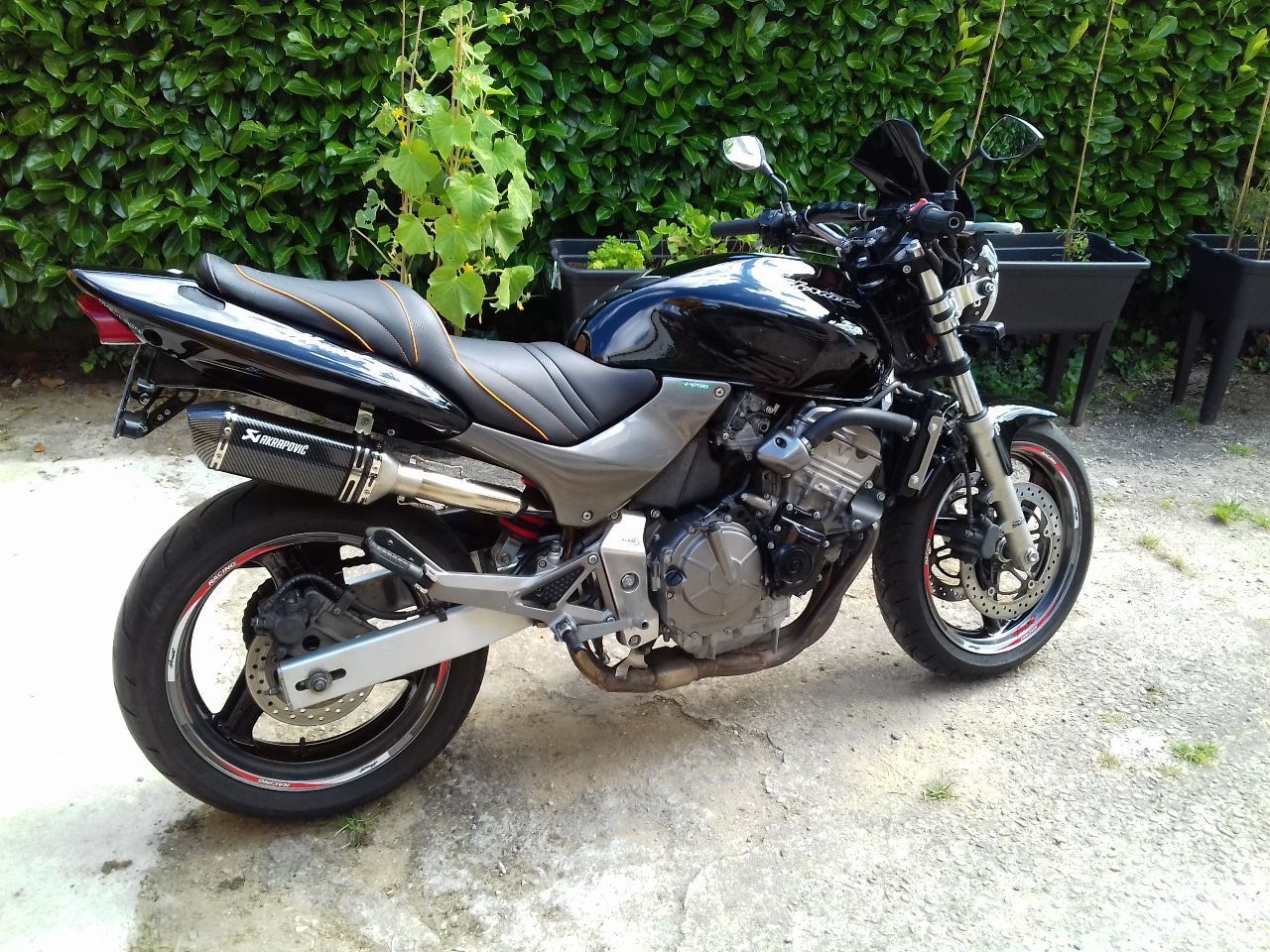 Photo HONDA CB 600 F HORNET
