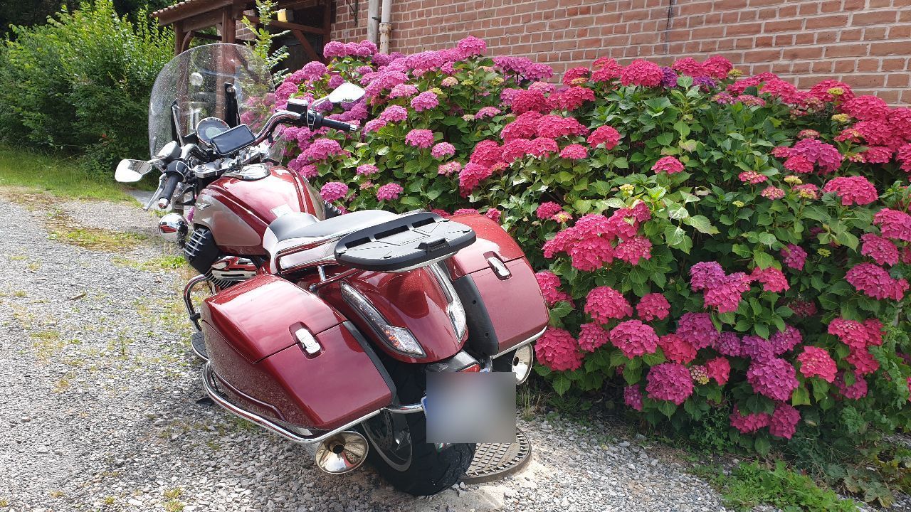 Photo MOTO GUZZI CALIFORNIA