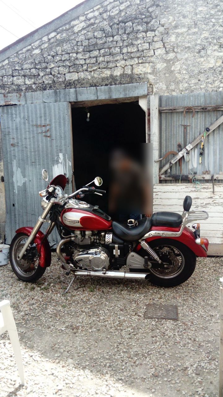 Photo TRIUMPH BONNEVILLE 800