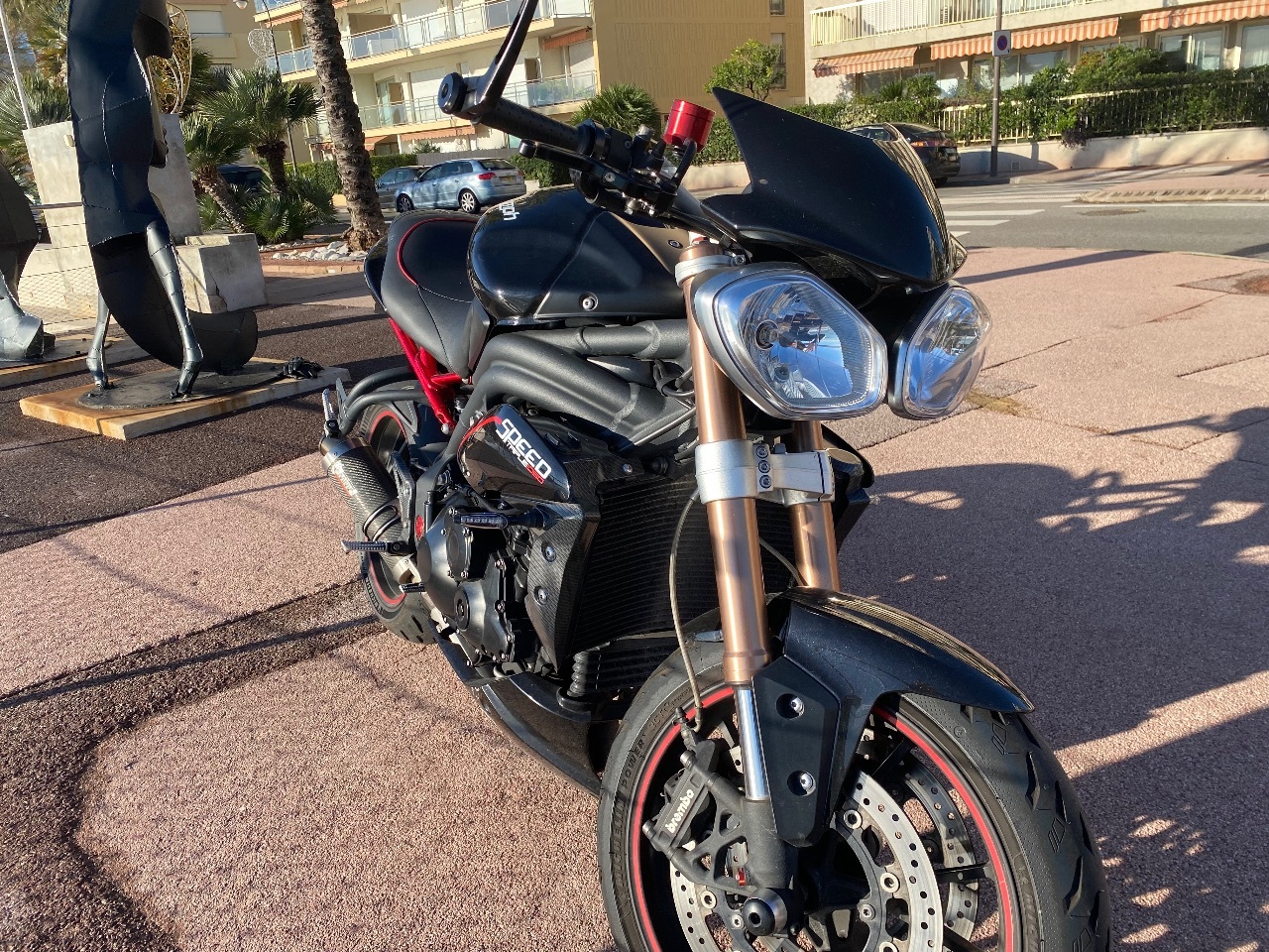 Photo TRIUMPH SPEED TRIPLE