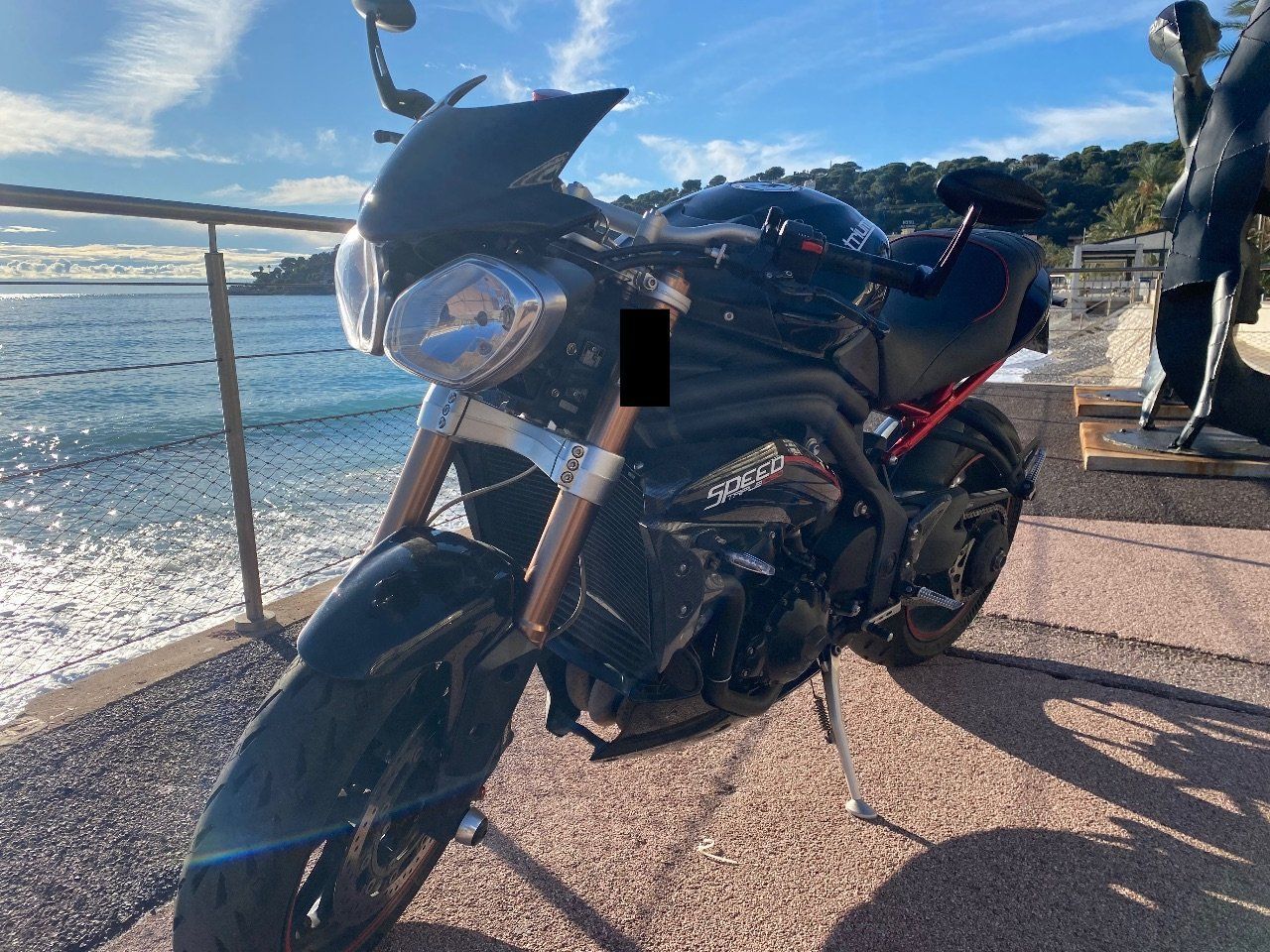 Photo TRIUMPH SPEED TRIPLE