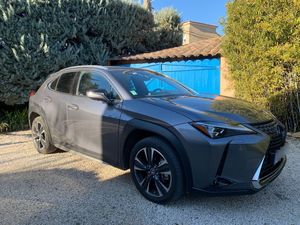 LEXUS UX 250H