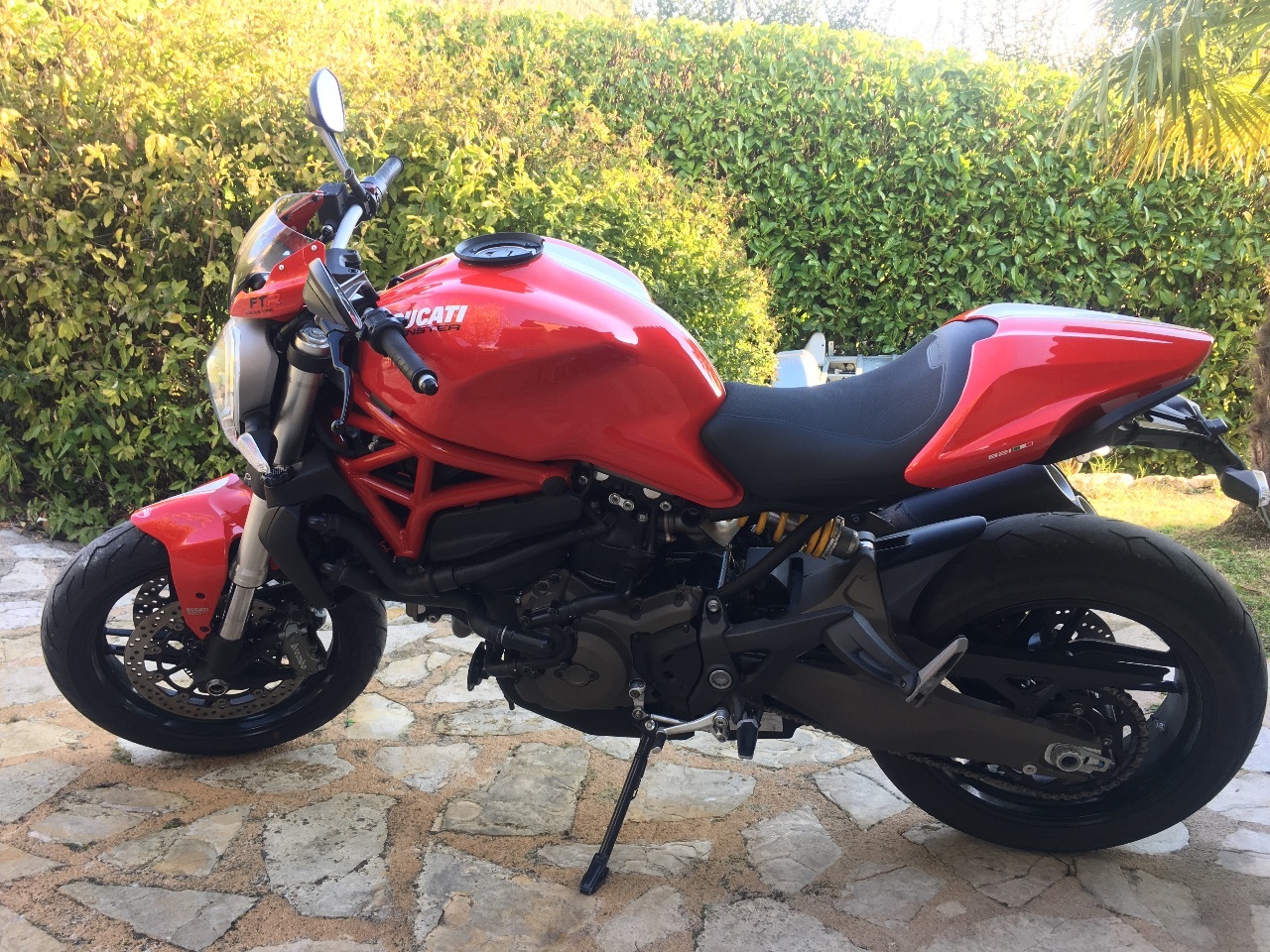 Photo DUCATI MONSTER 821