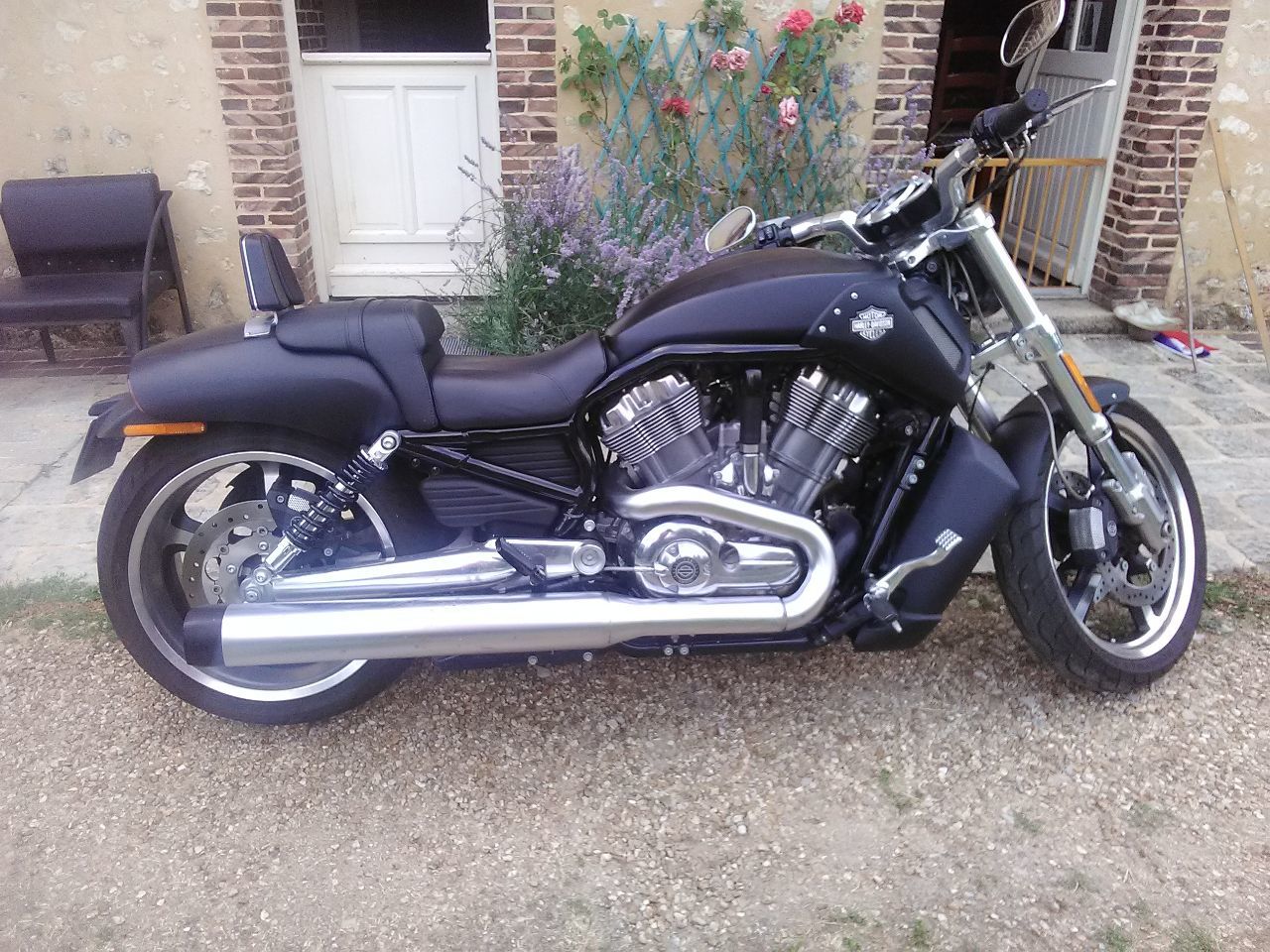 Photo HARLEY DAVIDSON VRS